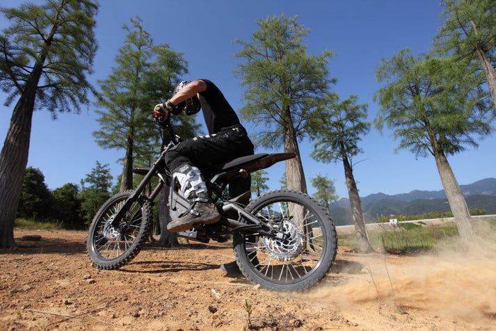E Ride Pro SS 2.0