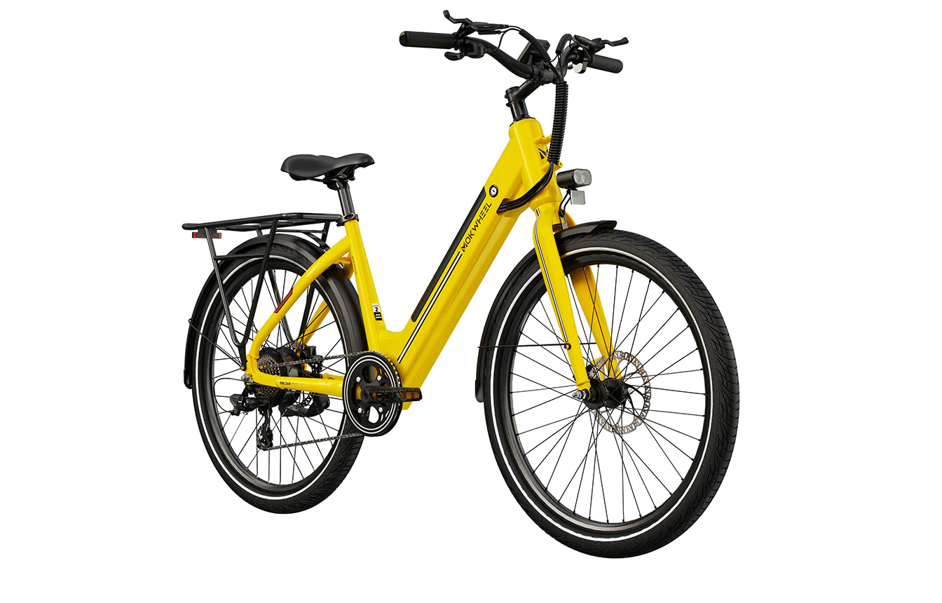 Mesa Lite ST 2.0