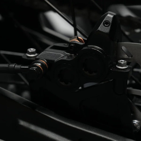 Arctic Leopard XE Pro