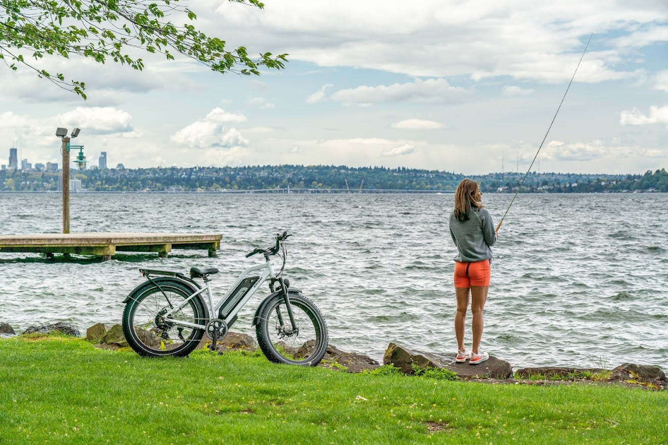 Himiway D3 ST - Cruiser Step Thru