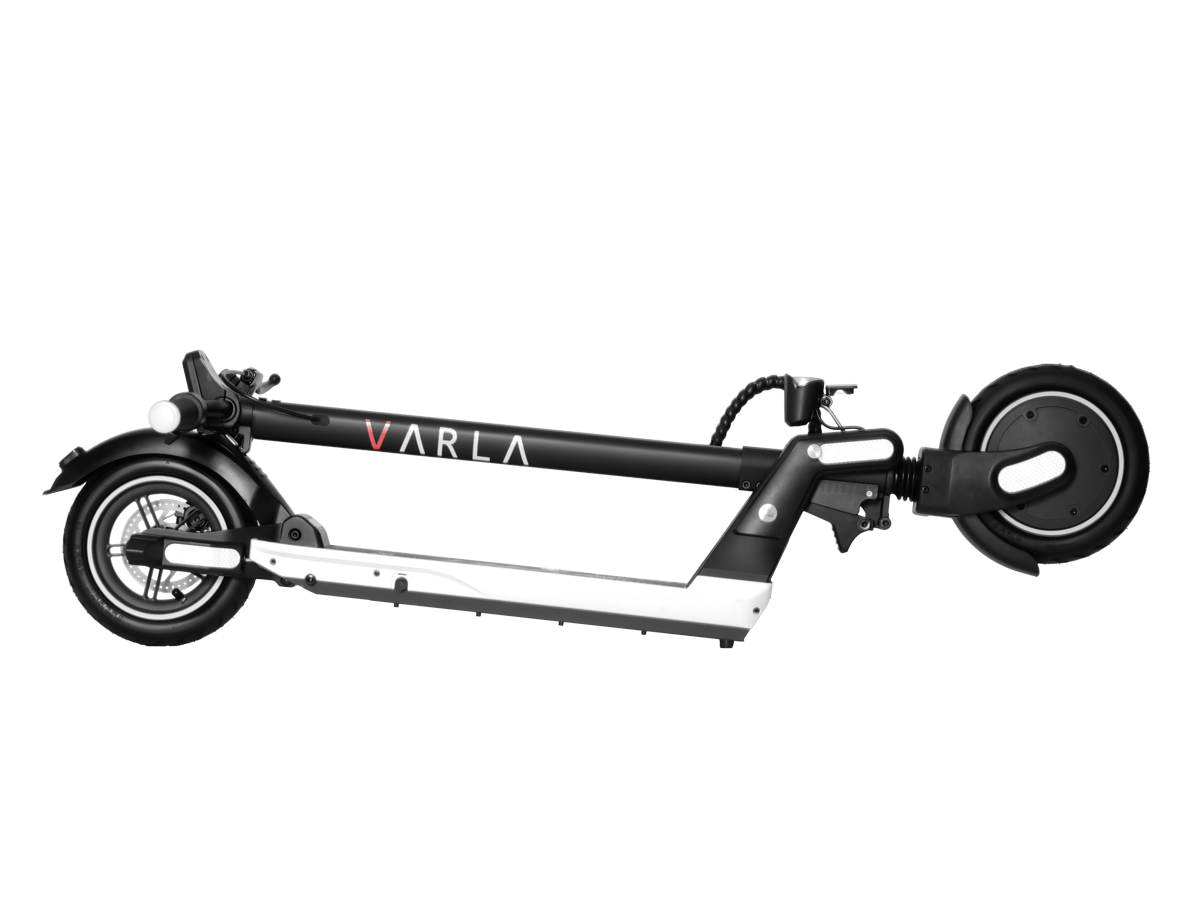 Varla Wasp