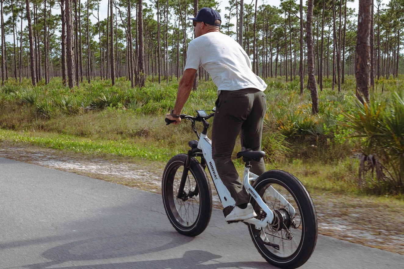 Himiway D5 - Zebra Step Thru